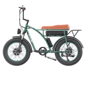 Vélo de ville électrique GOGOBEST GF750